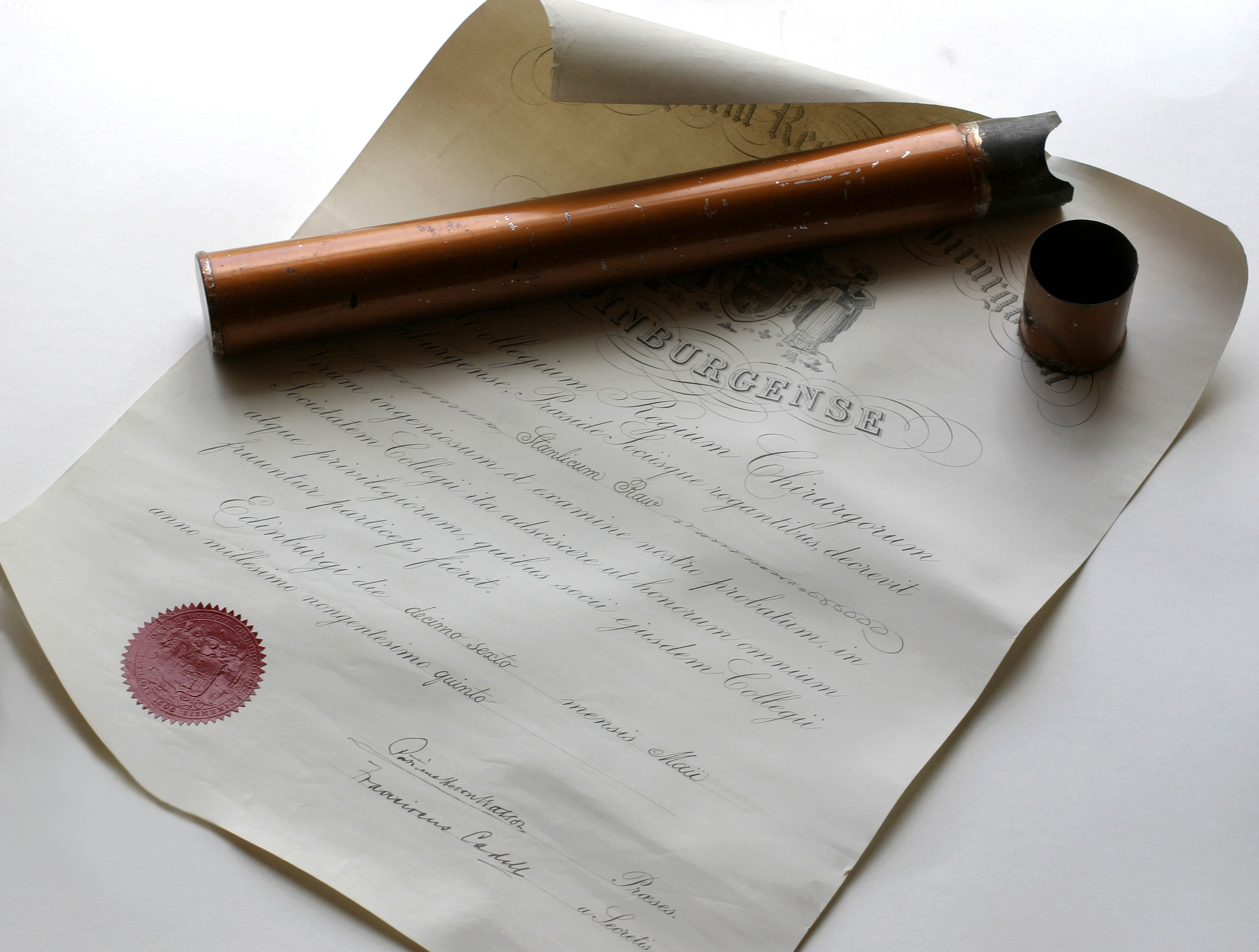 Search the catalogue