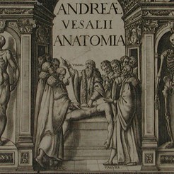 Image taken from our 1604 edition of Andreas Vesalius, Anatomia: De Humani Corporis Fabrica, RCSEd